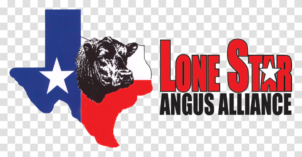 Home Lone Star Angus Alliance Leading Angus Genetics Tx Graphic Design, Bull, Mammal, Animal, Nature Transparent Png