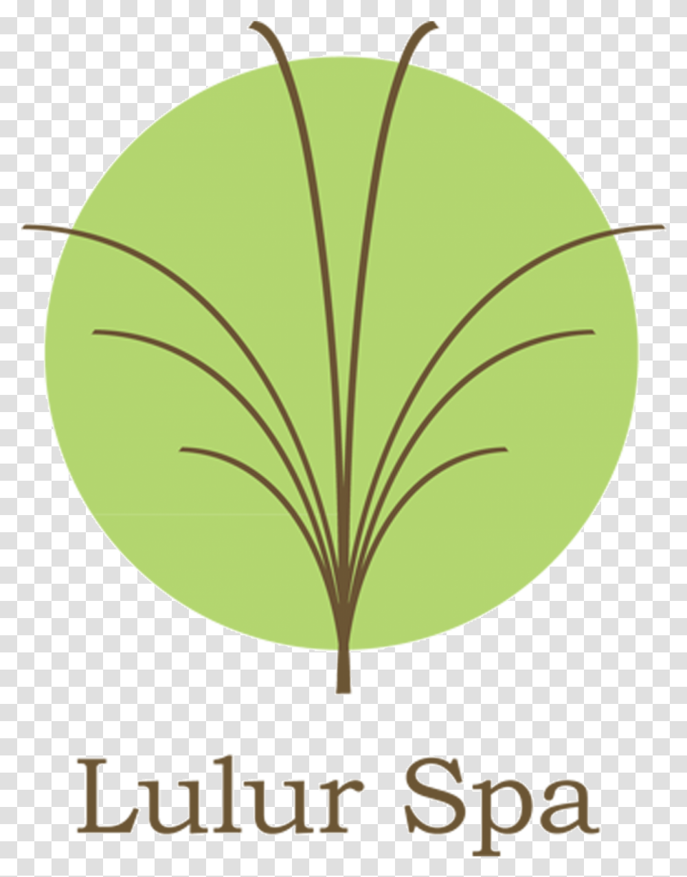 Home Lulur Spa Lembongan Lifespan Fitness, Tennis Ball, Leaf, Plant, Clam Transparent Png