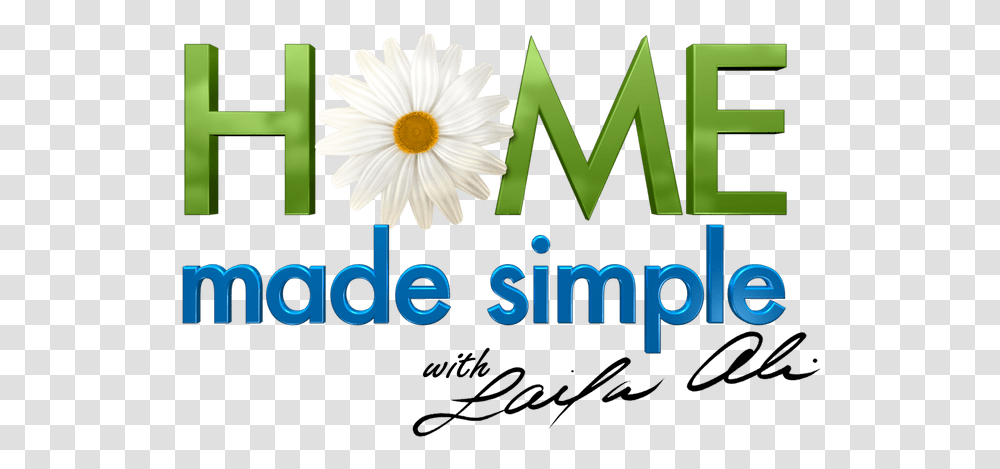 Home Made Simple, Plant, Daisy, Flower, Daisies Transparent Png