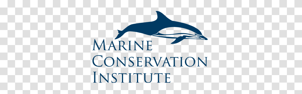Home Marine Conservation Institute, Rug, Gate, Outdoors Transparent Png