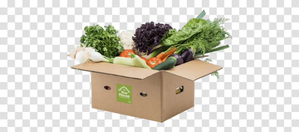 Home Mysite Cardboard Box, Plant, Vegetable, Food, Produce Transparent Png