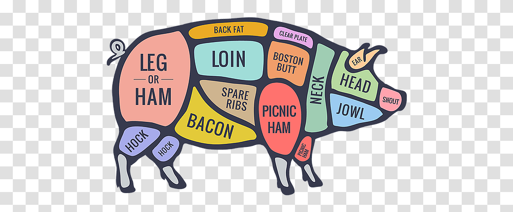 Home Mysite Pork Cuts Of Meat Diagram, Label, Text, Animal, Mammal Transparent Png