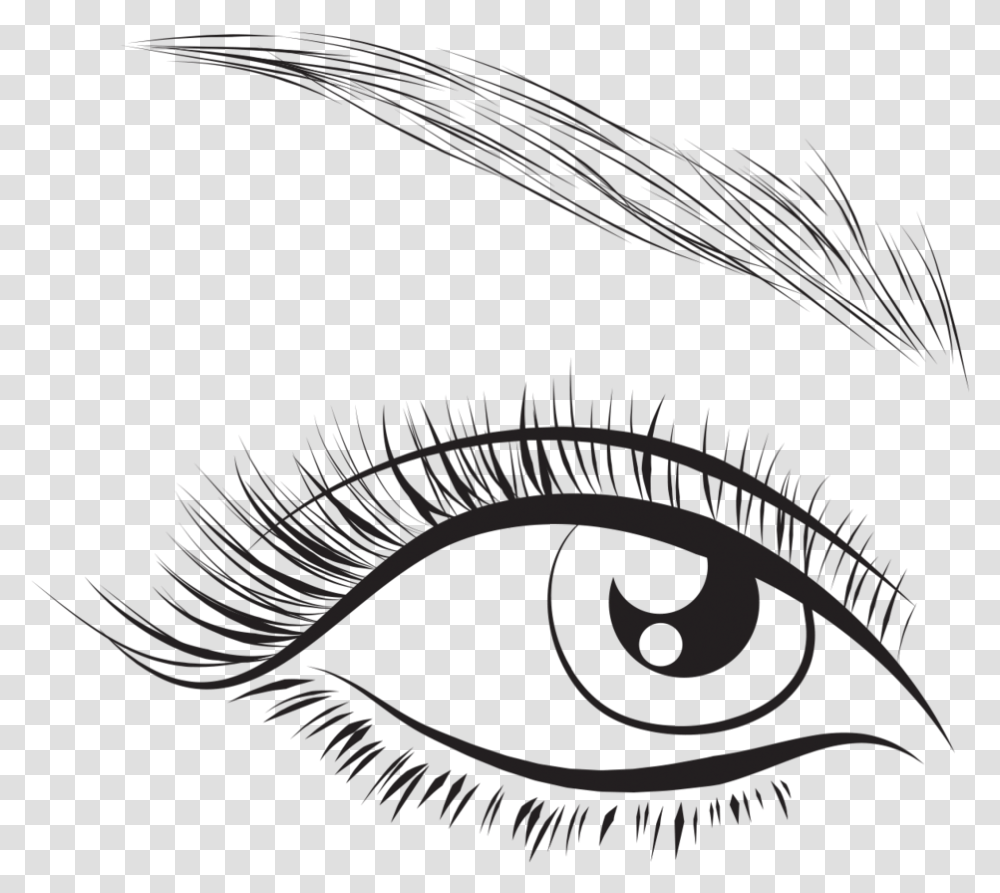 Home Of The 60 Lash Extension Eyes Lash, Bird Transparent Png