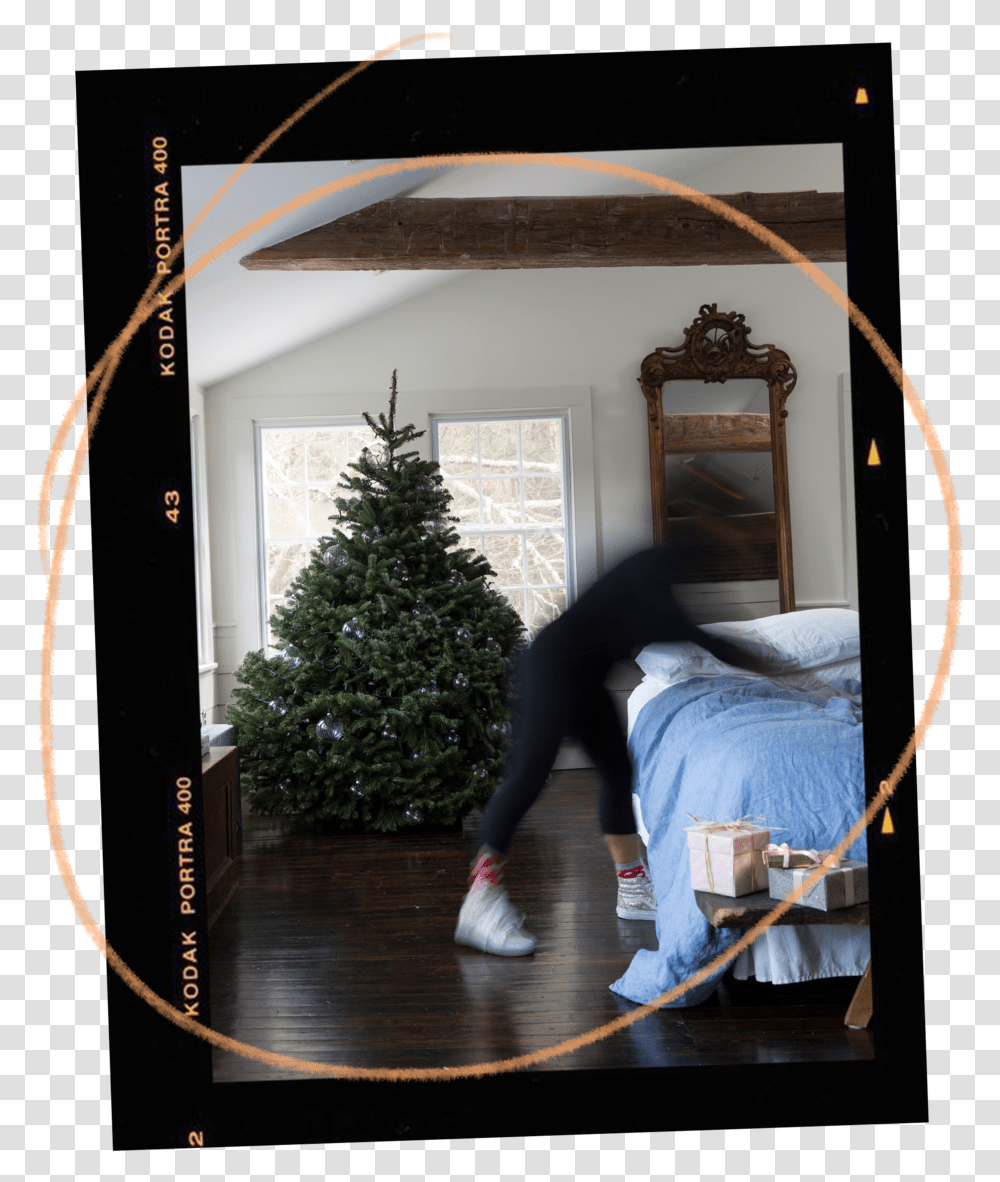 Home Package Christmas Tree, Shoe, Footwear, Apparel Transparent Png