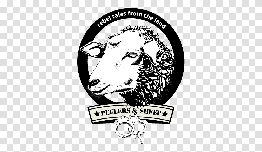 Home Peelers And Sheep Sheep Head, Mammal, Animal, Goat, Wildlife Transparent Png