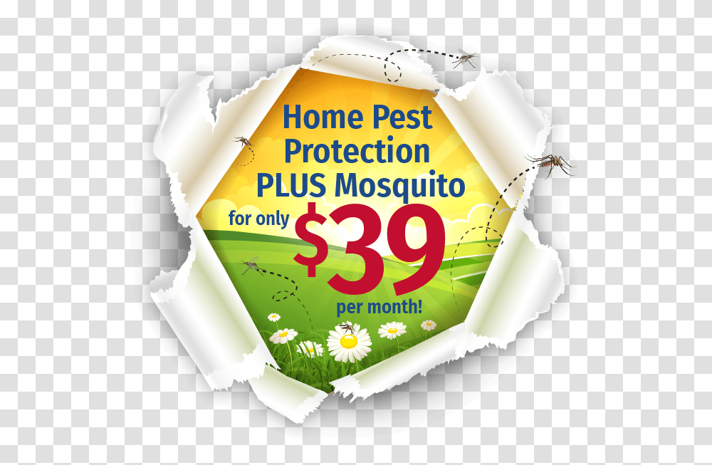 Home Pest Protection Plus Logo Graphic Design, Label, Birthday Cake, Dessert Transparent Png