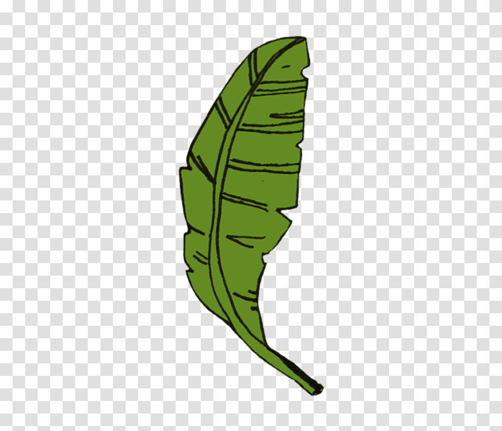 Home, Plant, Bamboo, Leaf, Bamboo Shoot Transparent Png