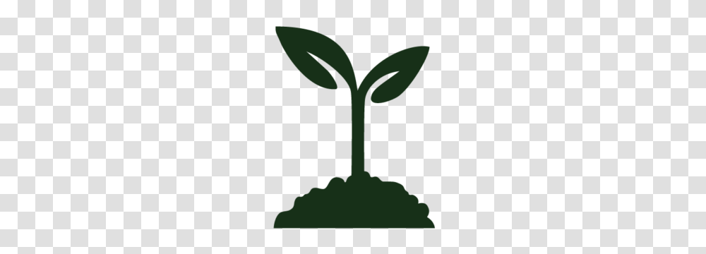 Home, Plant, Leaf, Cross Transparent Png