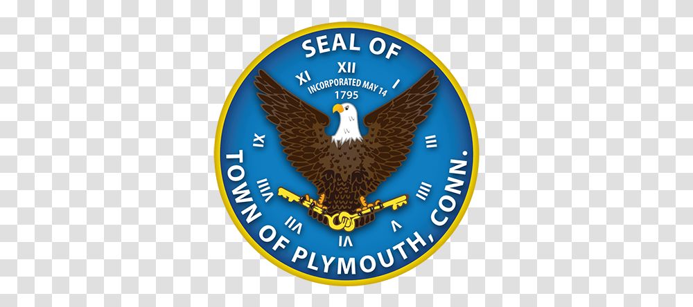 Home Plymouth Public Schools St Francis College, Eagle, Bird, Animal, Bald Eagle Transparent Png