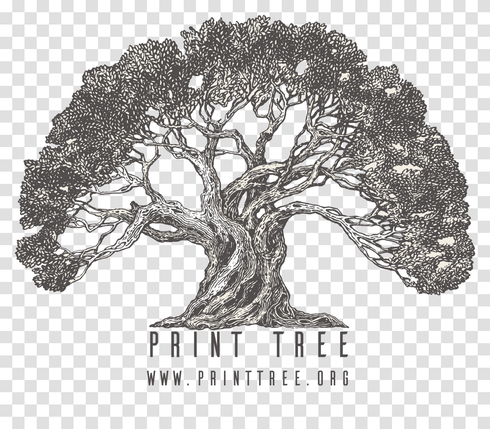 Home Printtree Olive Tree Vector Free, Plant, Root, Cross, Symbol Transparent Png