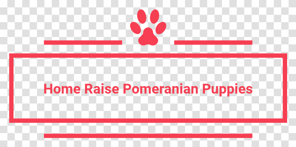 Home Raise Pomeranian Puppies Carmine, Label, Interior Design, Indoors Transparent Png