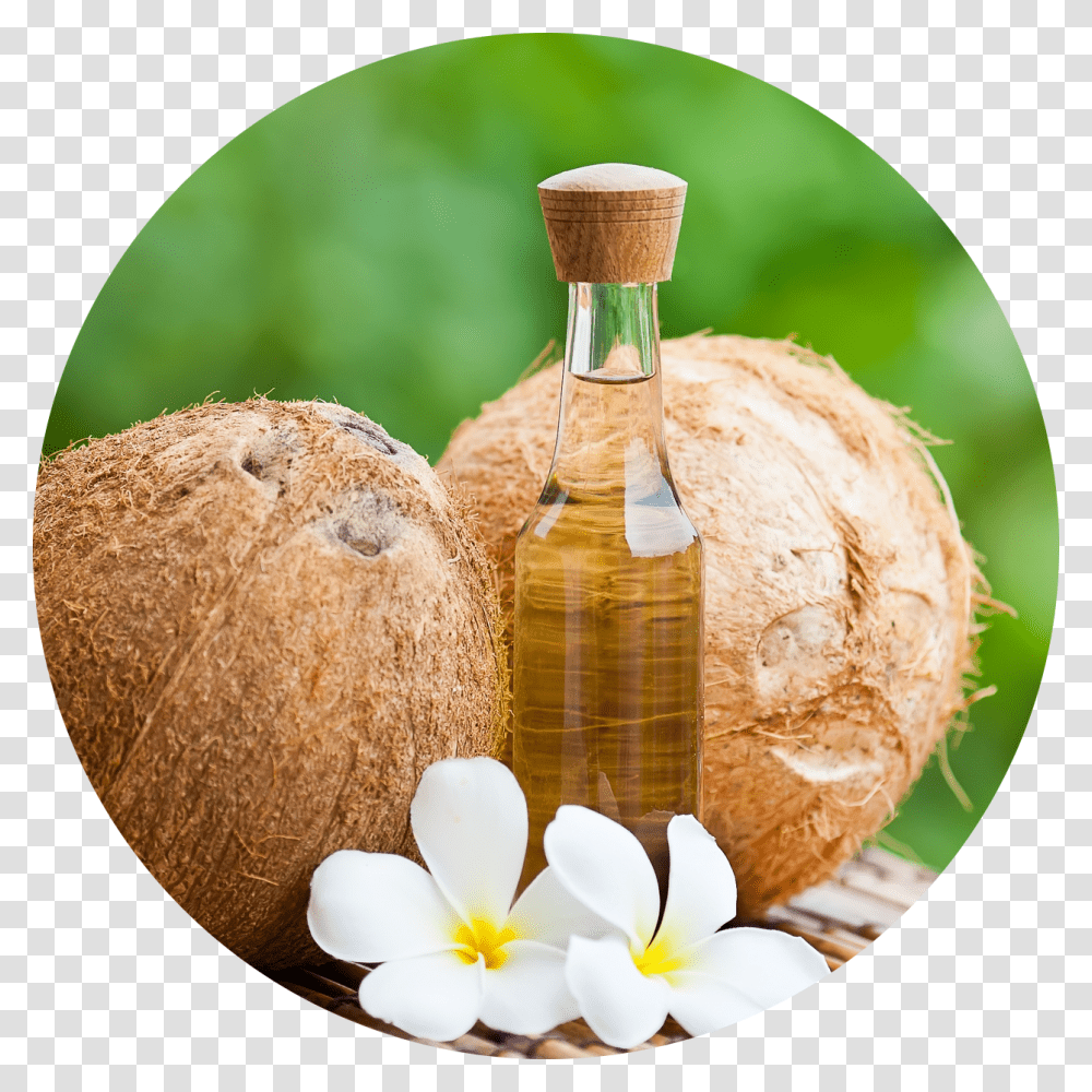 Home Remedies For Cellulitis Dau Dua Ben Tre, Plant, Nut, Vegetable, Food Transparent Png