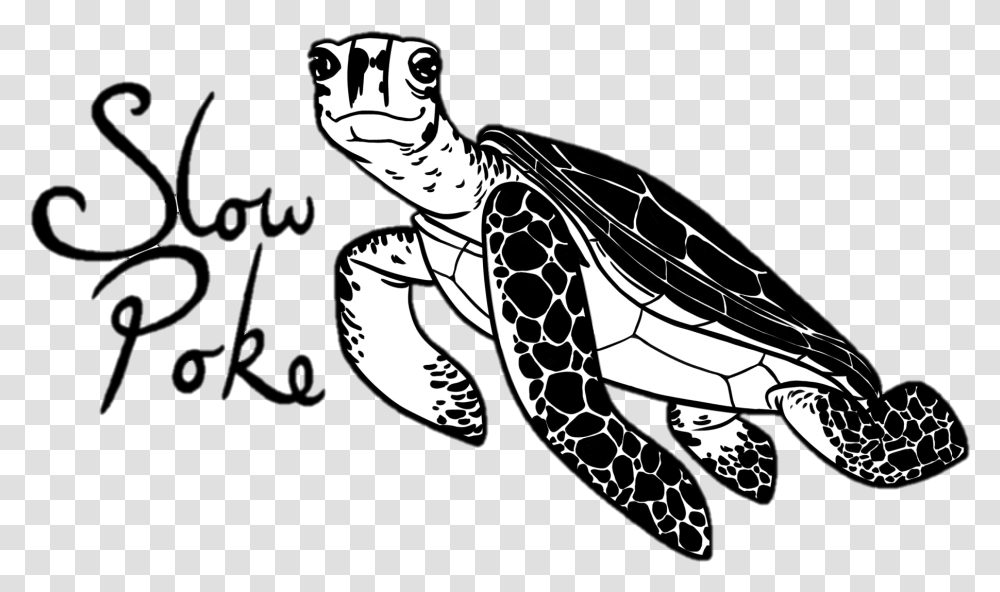 Home Ridley Sea Turtle, Animal, Sea Life, Reptile, Tortoise Transparent Png