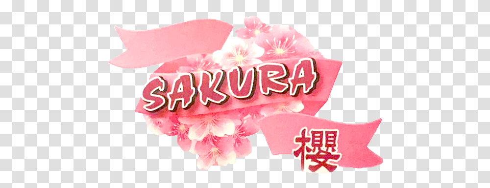 Home Sakura, Plant, Flower, Petal, Text Transparent Png