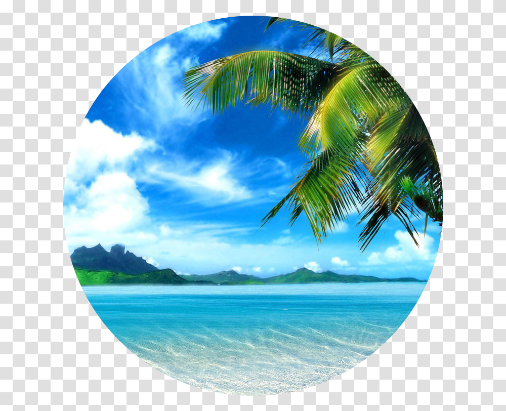 Home Screen Beach Wallpaper For Iphone, Window, Plant, Outdoors, Tropical Transparent Png