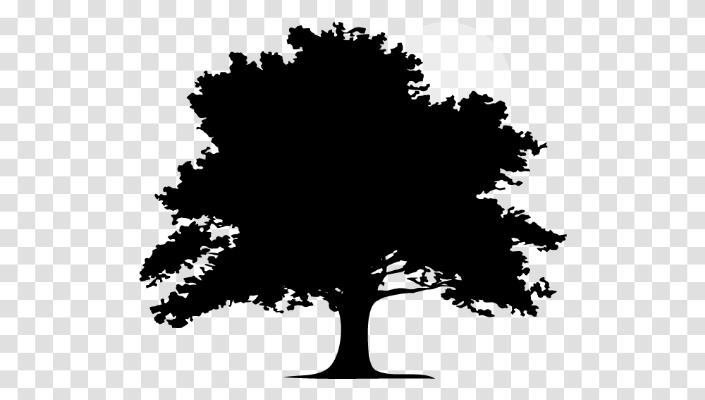 Home Silhouette Oak Tree Clipart, Nature, Outdoors, Astronomy, Outer Space Transparent Png