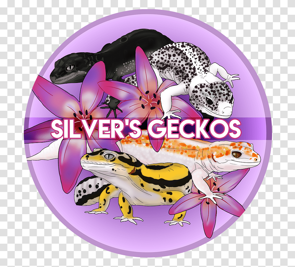 Home Silver's Geckos Lizard, Animal, Wildlife, Amphibian, Salamander Transparent Png