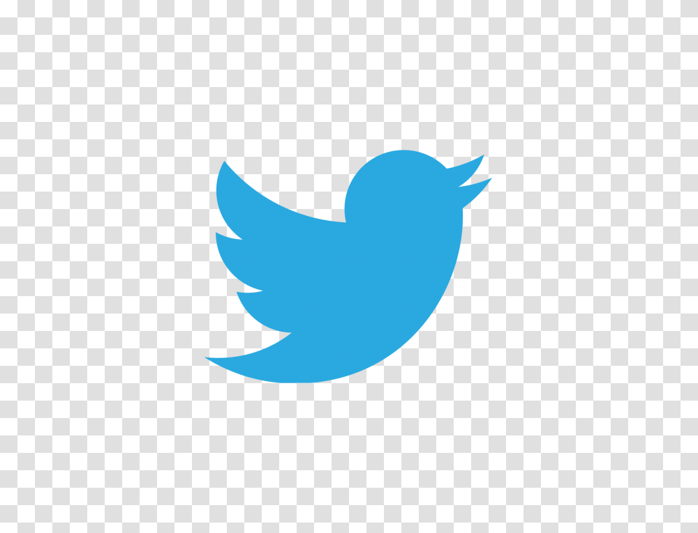 Home Simple Twitter Icon, Graphics, Art, Paper, Text Transparent Png