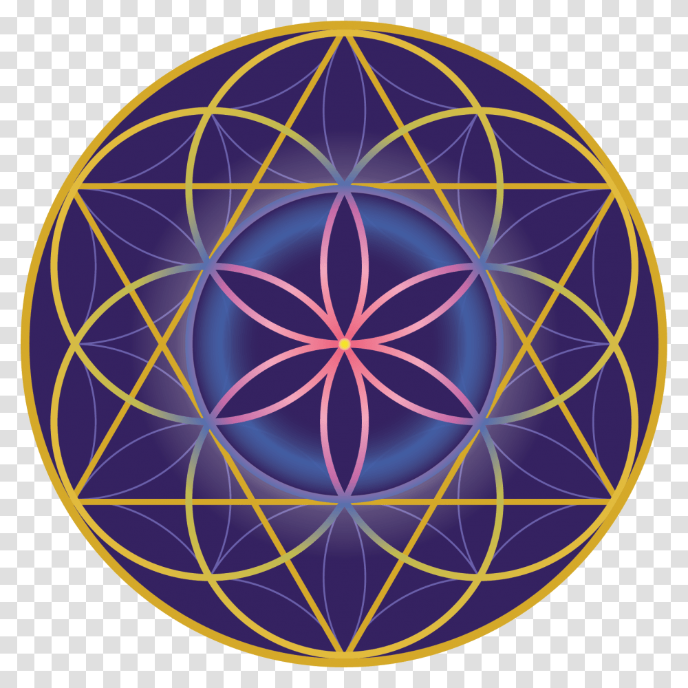 Home The Flower Of Life Ion Apothecary Collective Flag, Pattern, Ornament, Fractal, Sphere Transparent Png