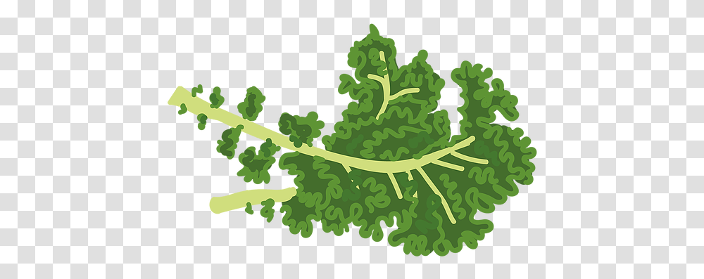Home Thevegankids Mustard Greens, Plant, Nature, Vegetation, Outdoors Transparent Png