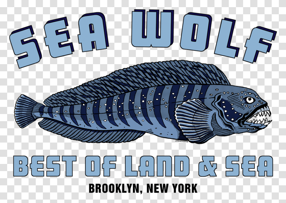 Home - Sea Wolf Blue Logo, Fish, Animal, Poster, Advertisement Transparent Png