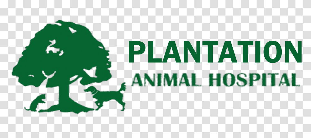 Home Veterinarian In Clayton Nc Plantation Animal Hospital Graphic Design, Text, Word, Alphabet, Symbol Transparent Png