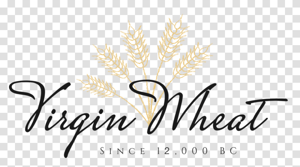 Home Virgin Wheat, Plant, Fern, Leaf Transparent Png
