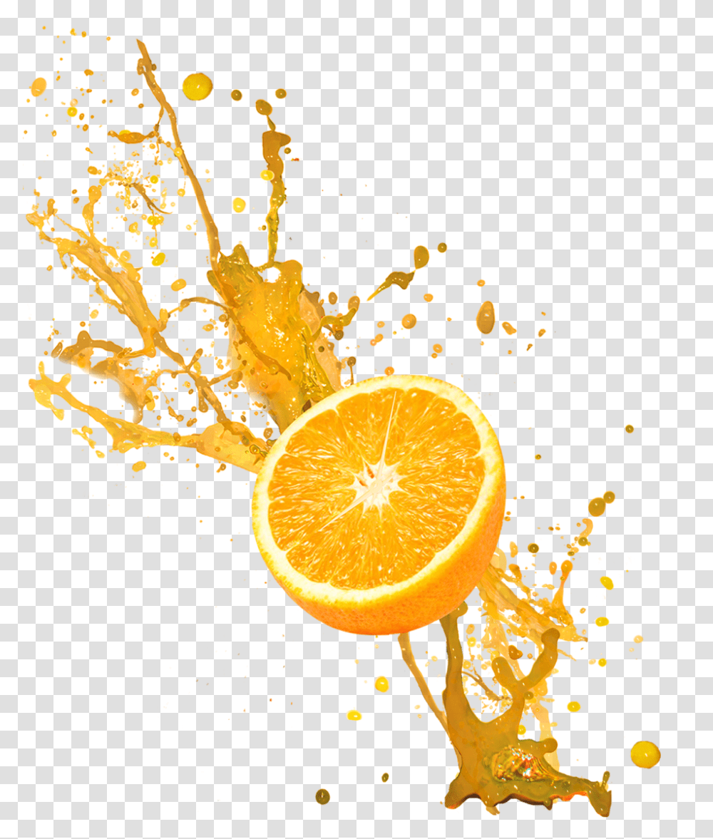 Home Waterparks Waterparks Fandom Orange, Plant, Citrus Fruit, Food, Lemon Transparent Png