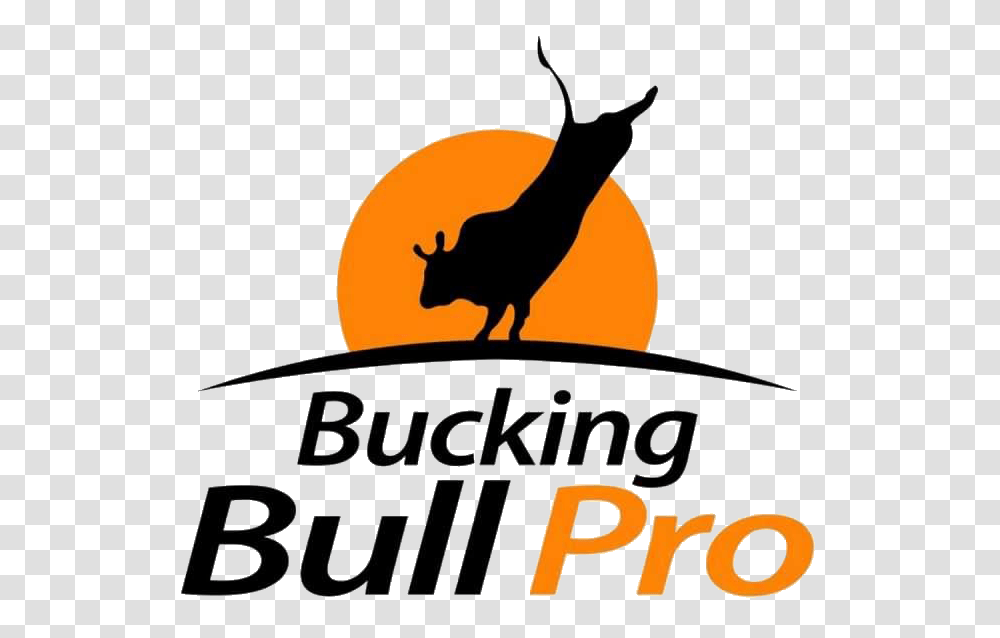 Home Western States Bucking Bull Association, Mammal, Animal, Antelope, Wildlife Transparent Png