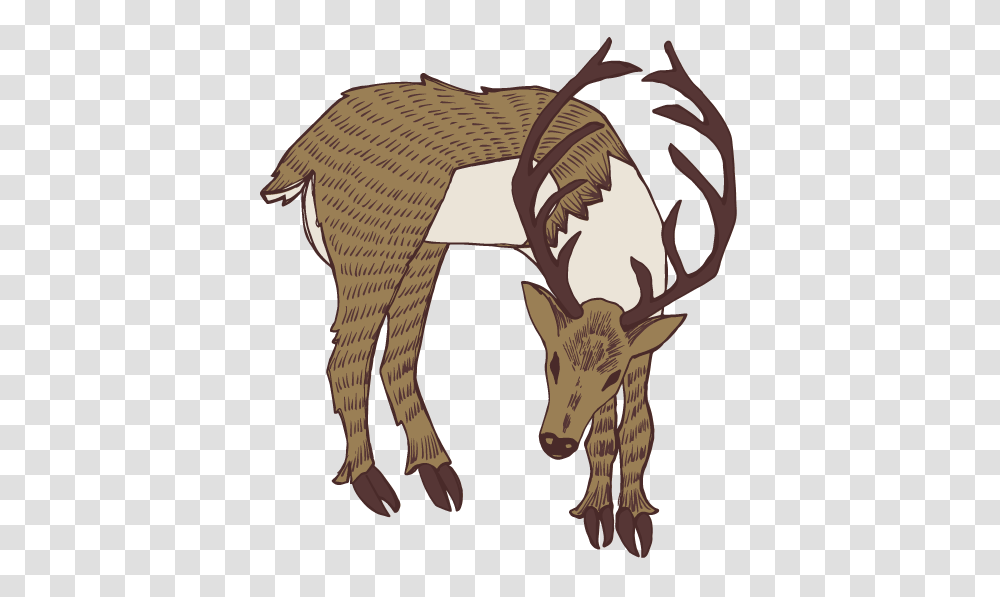 Home, Wildlife, Animal, Mammal, Deer Transparent Png