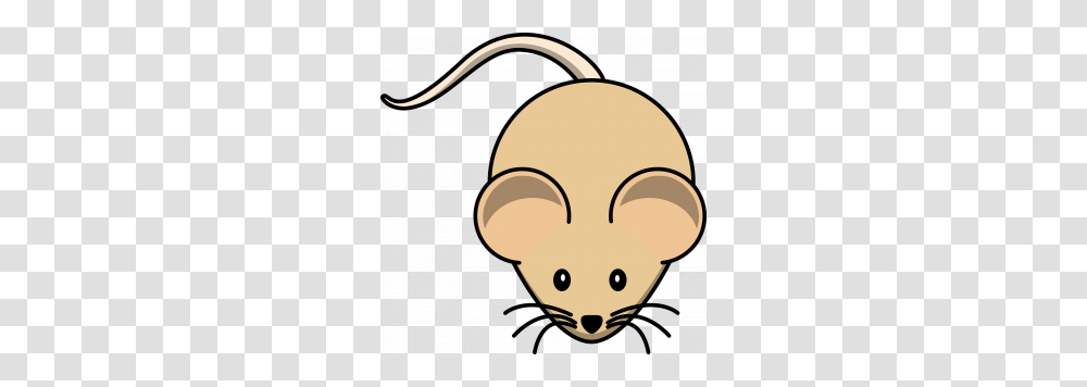 Homeopathy Can Even Help Mice Sober Up As Indicated, Piggy Bank Transparent Png