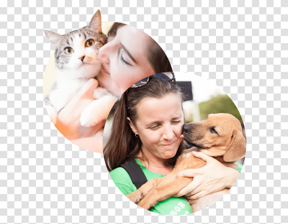 Homepage Img Squitten, Sunglasses, Person, Cat, Pet Transparent Png