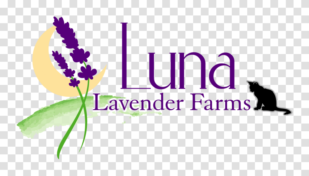 Homepage Luna Lavender Farms, Dog, Pet, Mammal, Silhouette Transparent Png