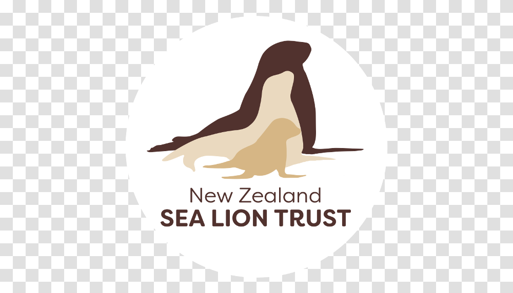Homepage New Zealand Sea Lion Trust Sea Lion Book Logo, Word, Label, Text, Bird Transparent Png