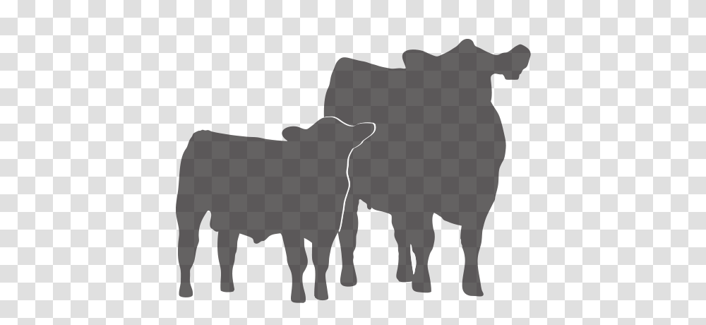 Homepage, Silhouette, Bull, Mammal, Animal Transparent Png