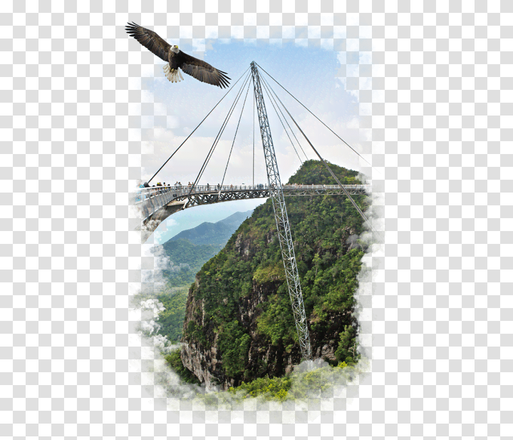 Homepage Skybridge Langkawi Sky Bridge, Building, Suspension Bridge, Bird, Animal Transparent Png