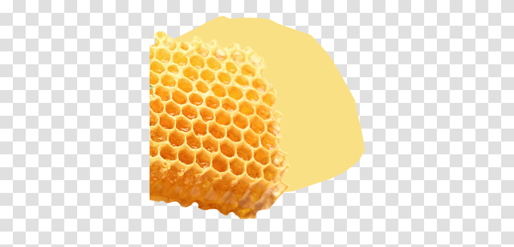 Homepage Superbee Honeycomb, Food Transparent Png