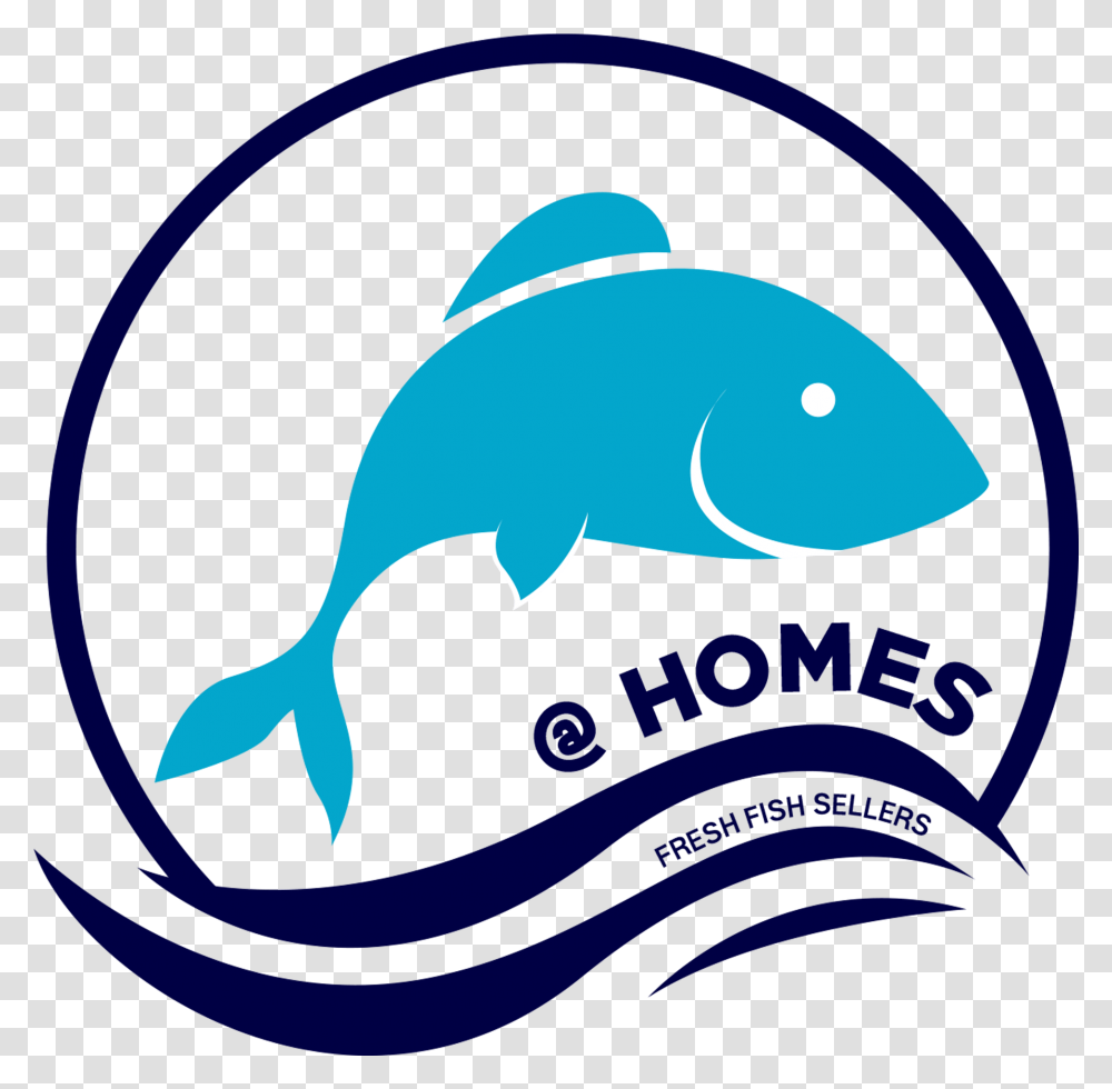 Homes Home Products Fishhomes, Sea Life, Animal, Mammal, Dolphin Transparent Png