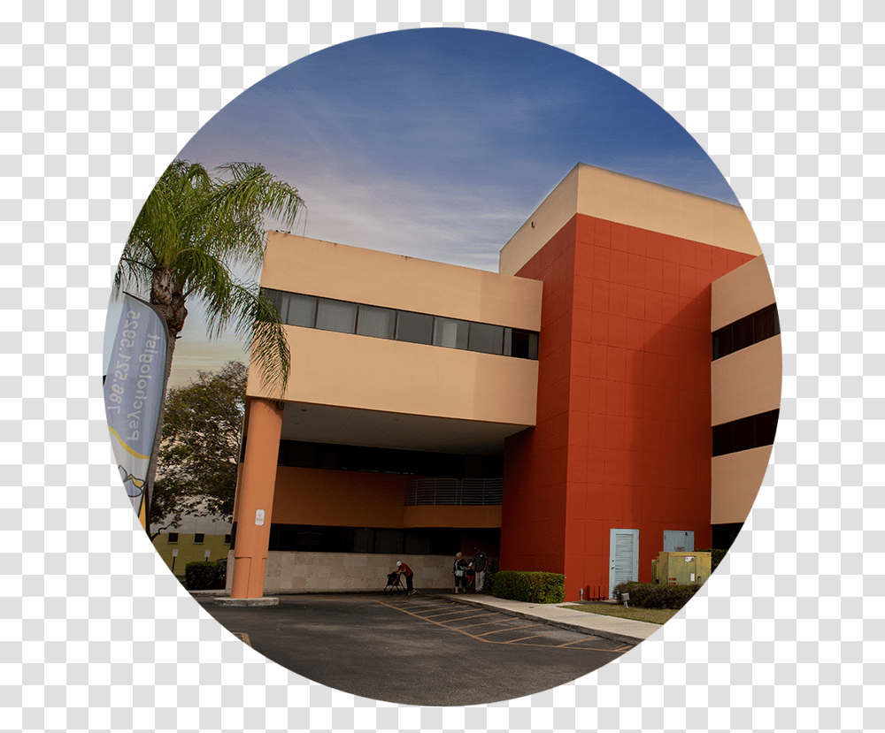Homestead Palm Trees, Person, Building, Architecture, Office Building Transparent Png