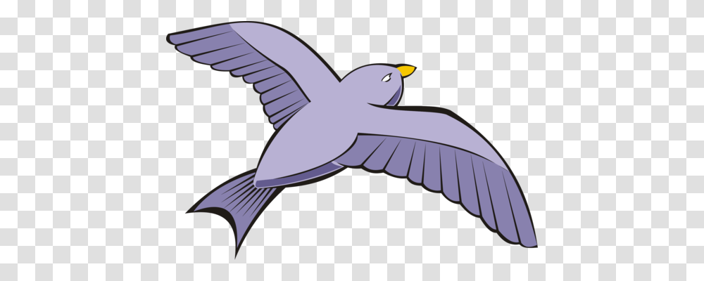 Homing Pigeon Columbidae Bird Dont Let The Pigeon Drive The Bus, Flying, Animal, Jay, Penguin Transparent Png