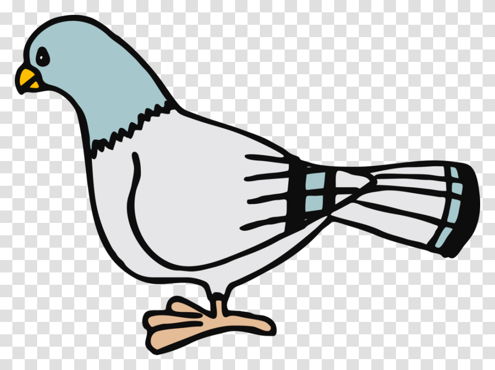 Homing Pigeon Columbidae Bird Dont Let The Pigeon Drive The Bus, Sunglasses, Accessories, Animal Transparent Png