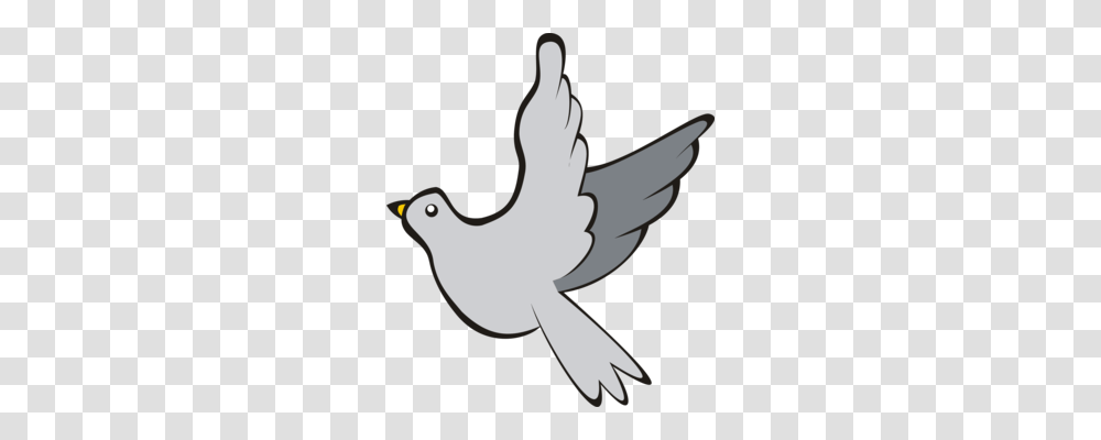 Homing Pigeon Columbidae English Carrier Pigeon Bird Blue Pigeon, Animal, Axe, Tool, Flying Transparent Png