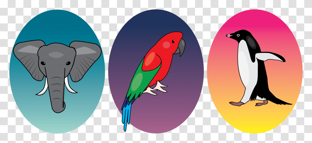Honchkrow Parakeet, Bird, Animal, Parrot, Penguin Transparent Png
