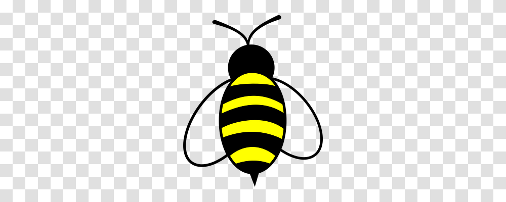 Honey Animals, Logo, Trademark Transparent Png