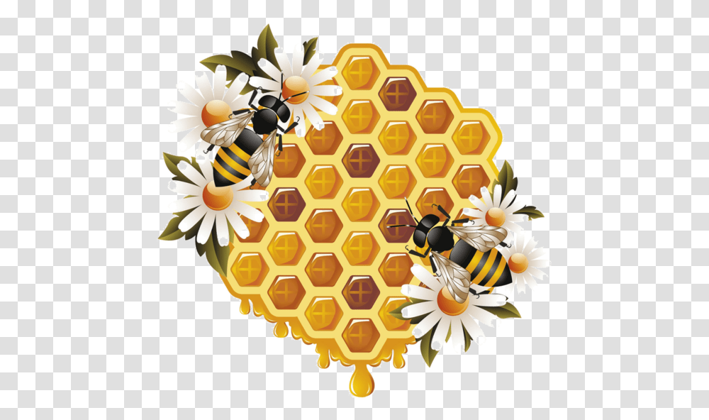 Honey And Bee, Food, Honeycomb, Animal, Insect Transparent Png