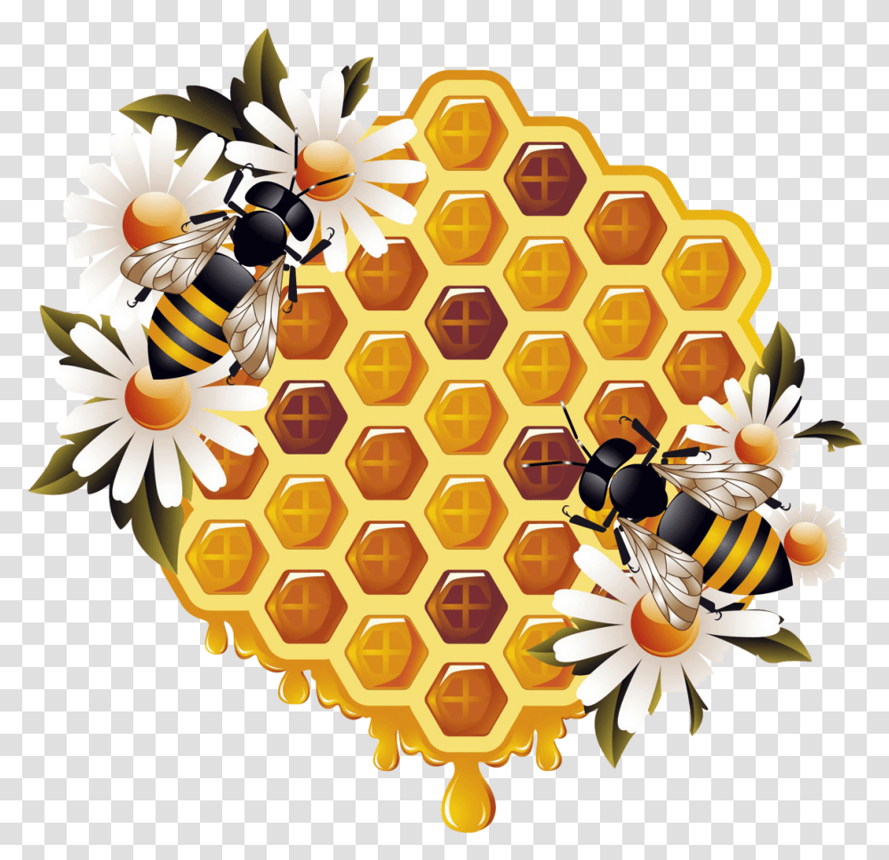 Honey And Bee, Honeycomb, Food, Honey Bee, Insect Transparent Png