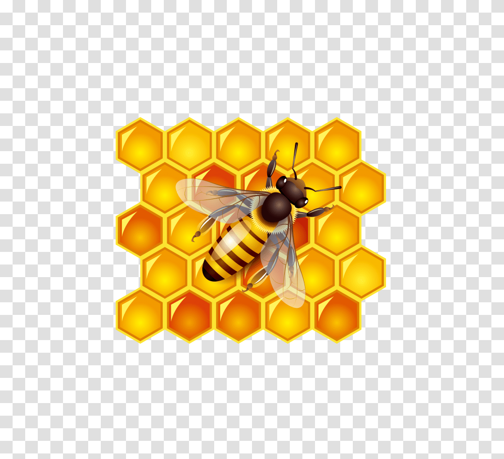 Honey Australian Free Stock Honey Bee Cartoon, Honeycomb, Food, Wasp, Insect Transparent Png