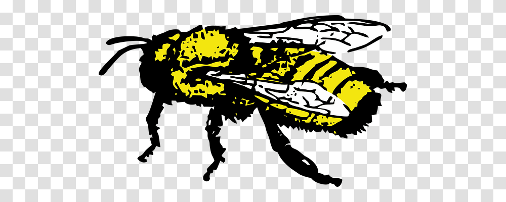 Honey Bee Animals, Vehicle, Transportation, Aircraft Transparent Png