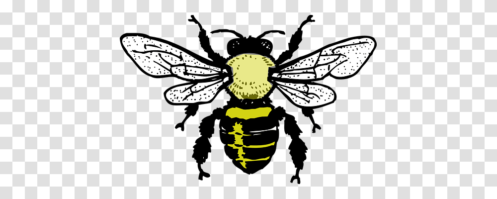 Honey Bee Animals, Wasp, Insect, Invertebrate Transparent Png