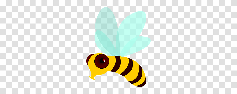 Honey Bee Animals, Invertebrate, Insect, Wasp Transparent Png